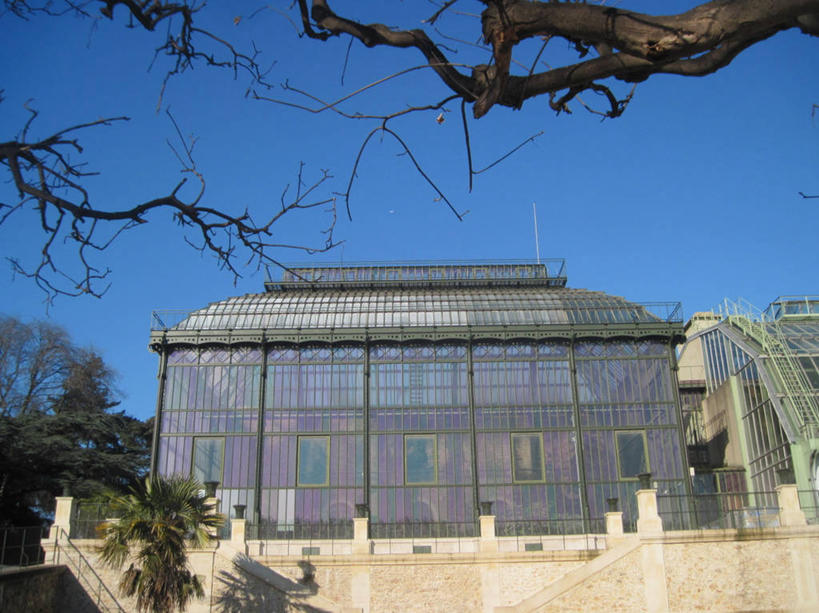 无人,植物园,横图,室外,白天,建筑,法国,金属,温室,树,天空,摄影,保护,彩图