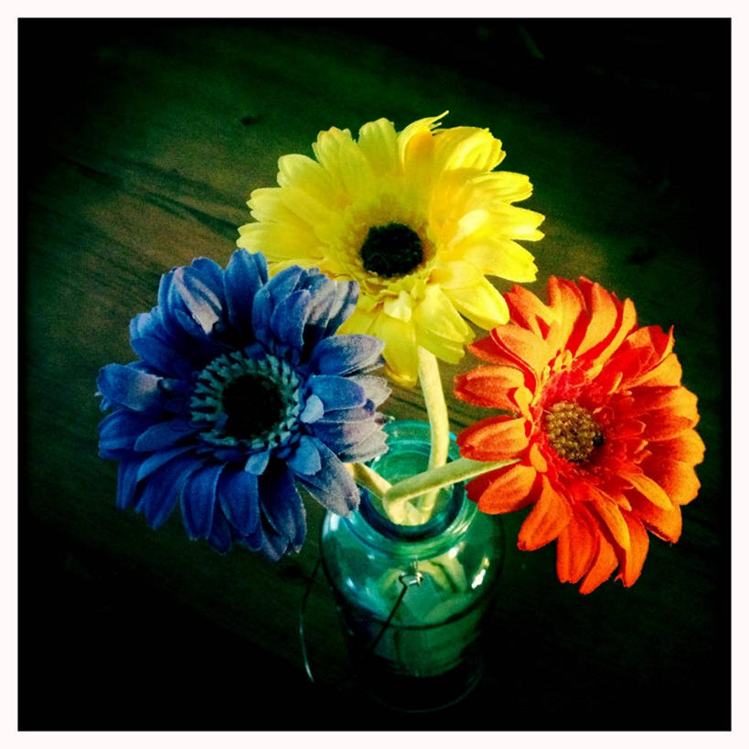 无人,方图,室内,特写,桌子,花瓶,加拿大,木制,首都,雏菊,黄色,红色,蓝色,摄影,多样,脆弱,清新,渥太华,彩图