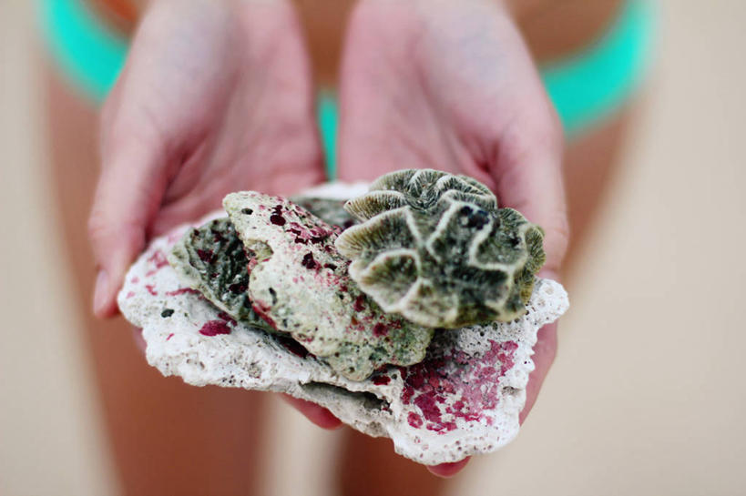 手,一个人,站,横图,室外,特写,白天,度假,墨西哥,沙子,珊瑚,拿着,探索,摄影,部分,拉丁美洲,出示,海滩,彩图