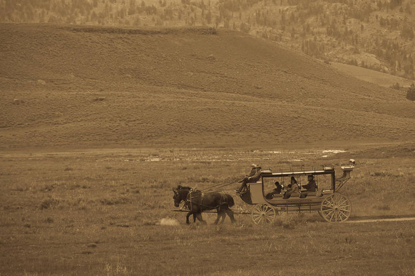 横图,室外,白天,马,美国,古典,历史,动物,两只,运输,摄影,北美,北美洲,美洲,美国文化,怀俄明,黄石公园,北亚美利加洲,亚美利加洲,彩图,美利坚合众国,篷车