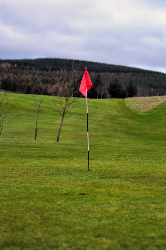 无人,竖图,室外,白天,森林,山,松树,英国,球洞,云,杆,高尔夫球场,苏格兰,草,天空,摄影,宁静,高尔夫球运动,彩图