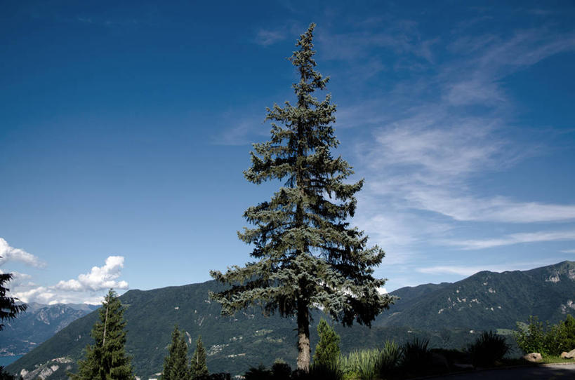 无人,横图,室外,白天,山,瑞士,云,树,蓝色,绿色,风景,天空,自然,摄影,宁静,卢加诺,提契诺州,彩图