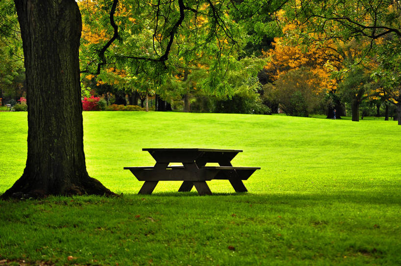 无人,公园,横图,室外,白天,草坪,美景,椅子,美国,长椅,景观,草,树,自然,景色,摄影,自然风光,纽约州,奥尔巴尼,秋天,彩图