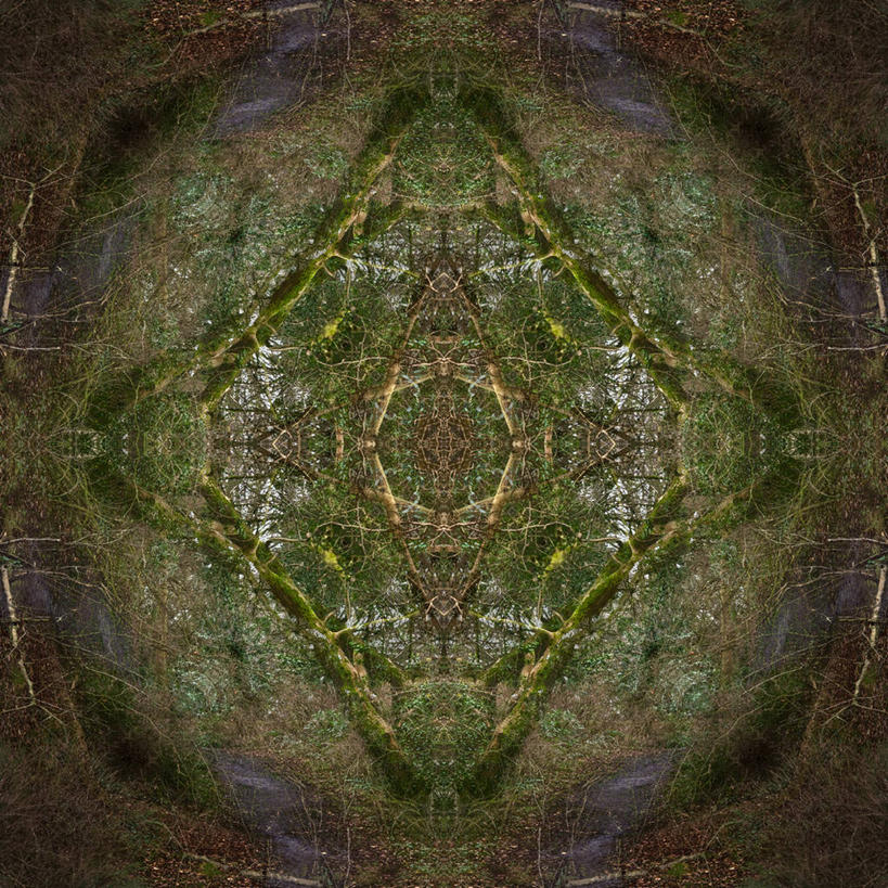 无人,方图,室外,白天,森林,英国,形状,首都,绿色,摄影,创造力,安特里姆郡,贝尔法斯特,式样,想法,设计,彩图