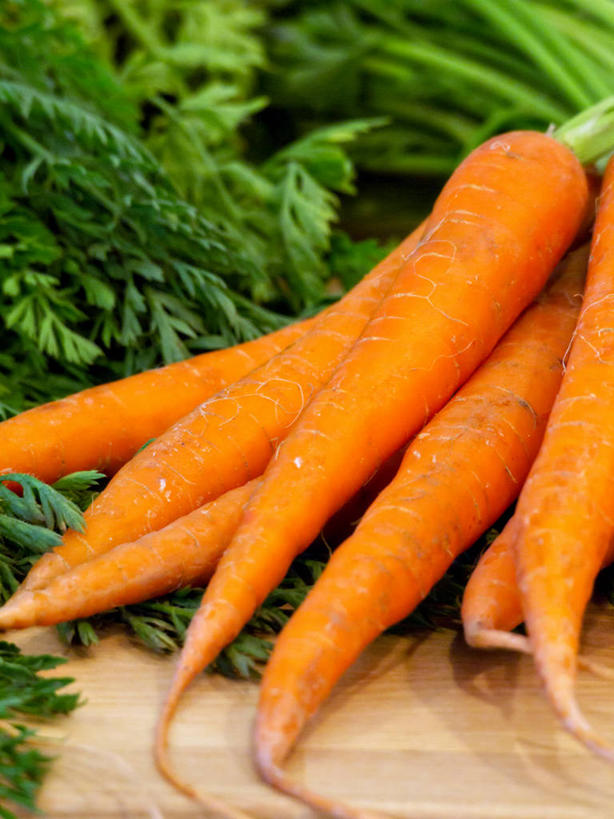 无人,竖图,室内,特写,胡萝卜,蔬菜,叶子,美国,饮食,橙色,摄影,有机食品,清新,健康食物,彩图