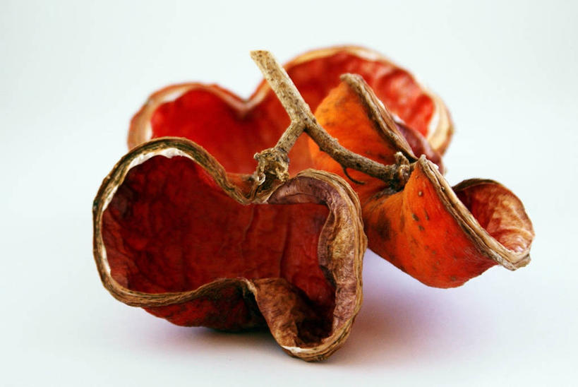 无人,横图,特写,白色背景,植物,澳大利亚,豆类,豆子,豌豆,荷兰豆,摄影,脆弱,干的,雪豆,豆科,昆士兰州,寒豆,毕豆,麻累,国豆,小寒豆,麦豌豆,汤斯维尔,彩图,影棚拍摄