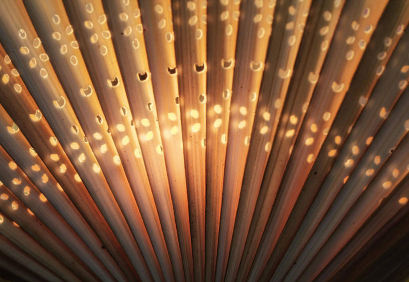 无人,横图,室外,特写,白天,背景,重复,玩具,日光,美国,条纹,折扇,摄影,加利福尼亚,彩图,全画面,全框架,全帧,全画幅