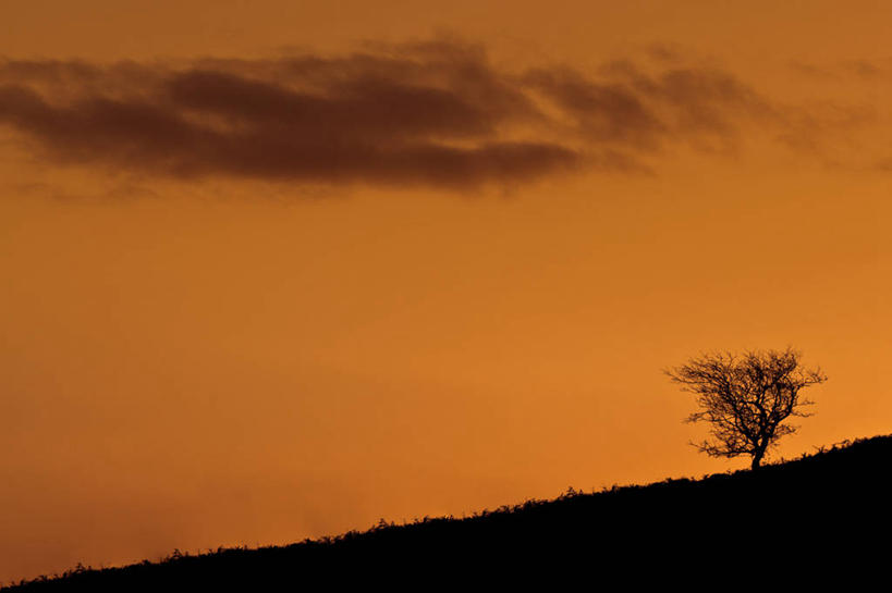 无人,横图,室外,云,天空,自然,黄昏,摄影,宁静,剪影,阿拉伯联合酋长国,波斯湾,彩图,独处