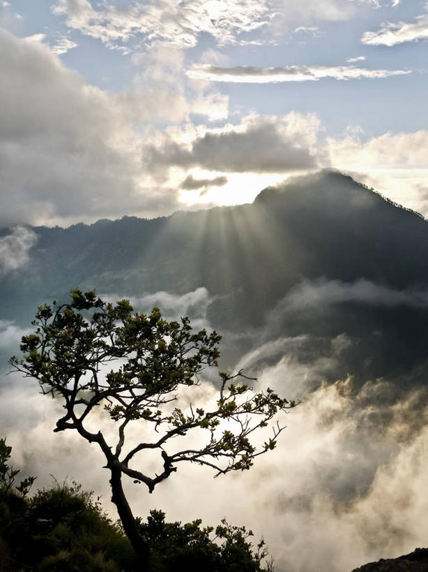 无人,竖图,室外,美景,日落,山,印度尼西亚,火山口,景观,云,树,风景,天空,自然,景色,摄影,宁静,自然风光,龙目岛,彩图