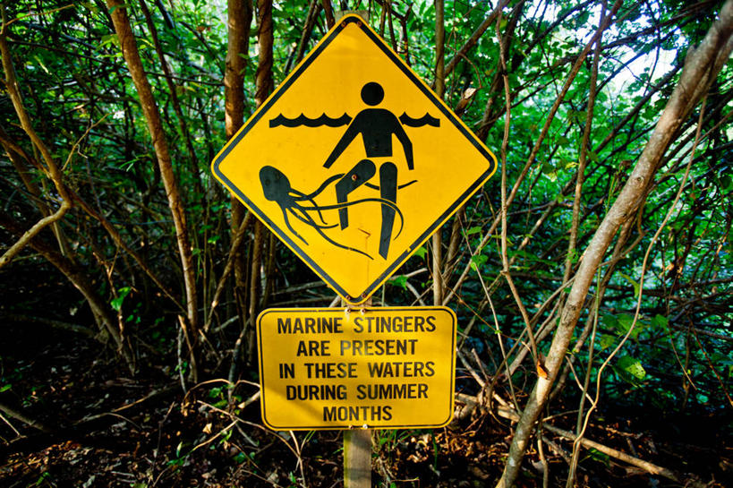 无人,横图,室外,白天,通讯,森林,指示牌,澳大利亚,标志,符号,文字,警告,标识,树,自然,警示,摄影,英文字母,禁止,提醒,提示,限制,昆士兰州,性别符号,凯恩斯,危险,海滩,彩图,男性符号