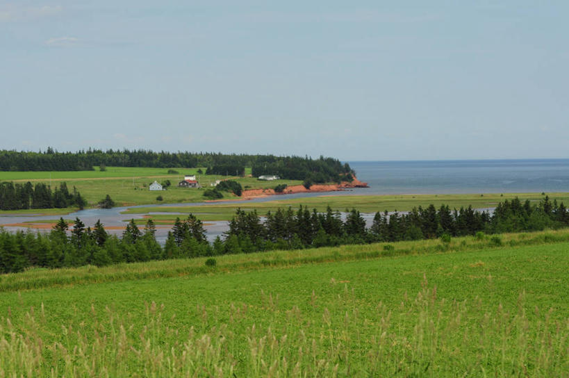 无人,横图,室外,白天,美景,山,加拿大,地形,景观,草,树,绿色,风景,自然,景色,大西洋,摄影,宁静,自然风光,万里无云,爱德华王子岛,彩图