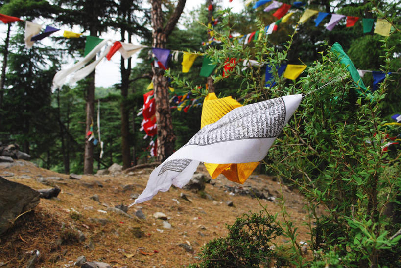 无人,横图,室外,白天,森林,风,印度,吊挂,悬挂,挂,经幡,树,线绳,摄影,宗教,佛教,印度文化,喜马偕尔邦,彩图,传统文化