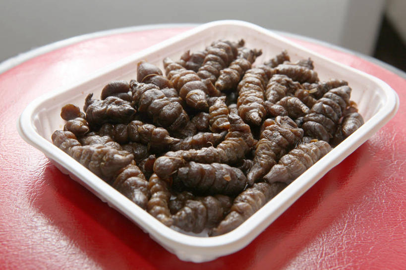 无人,横图,室内,特写,白天,北京,许多,朝鲜蓟,首都,很多,饮食,盘子,摄影,泡椒,清新,中国文化,健康食物,彩图