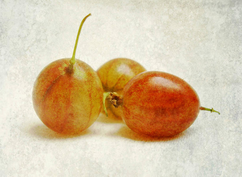 无人,横图,特写,白色背景,静物,水果,德国,纹路,纹理,饮食,三个,摄影,清新,健康食物,肌理,伍珀塔尔,醋栗,彩图,影棚拍摄