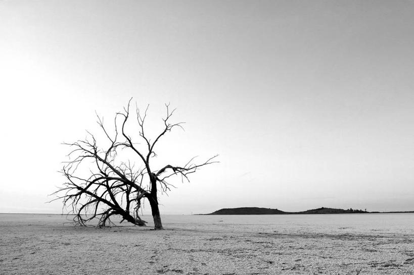 无人,横图,黑白,室外,白天,寂寞,海洋,全球变暖,美国,地形,自然,摄影,宁静,死亡,加利福尼亚,万里无云,结束,盐滩