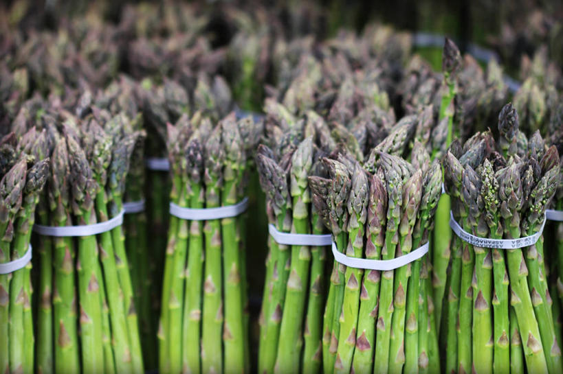 无人,横图,室外,特写,白天,重复,芦笋,蔬菜,纽约,美国,一排,许多,丰富,整齐,市场,很多,串,饮食,排列,零售,摄影,队列,清新,贩卖,健康食物,纽约州,彩图