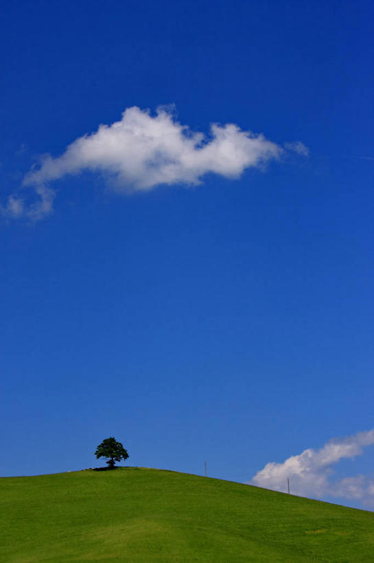 无人,竖图,室外,白天,意大利,地形,云,草,天空,自然,摄影,宁静,托斯卡纳区,彩图,独处