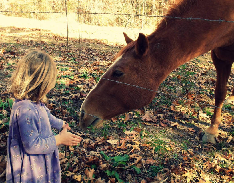 西方人,儿童,头发,一个人,站,吃,横图,室外,特写,白天,侧面,纯洁,马,欧洲,美国,欧洲人,仅一个女性,仅一个人,一把,拿着,休闲装,草,小孩,动物,仅一个小孩,金色,家畜,可爱,童年,童趣,摄影,童真,烂漫,无邪,喂养,布卢明顿,天真,女孩,女人,女性,白种人,孩子,半身,彩图,短发,女生,带刺铁丝网