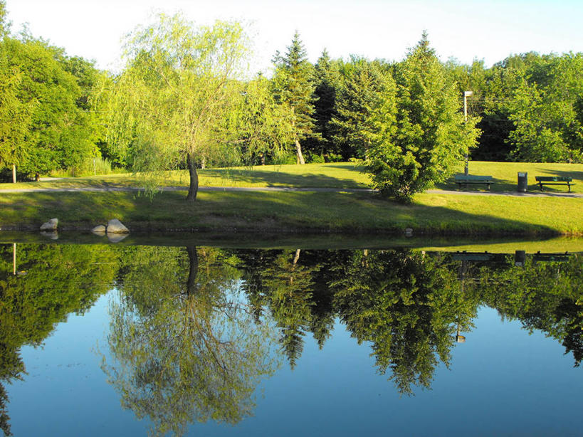 无人,横图,室外,白天,加拿大,反射,树,绿色,天空,自然,摄影,生长,宁静,死水,彩图