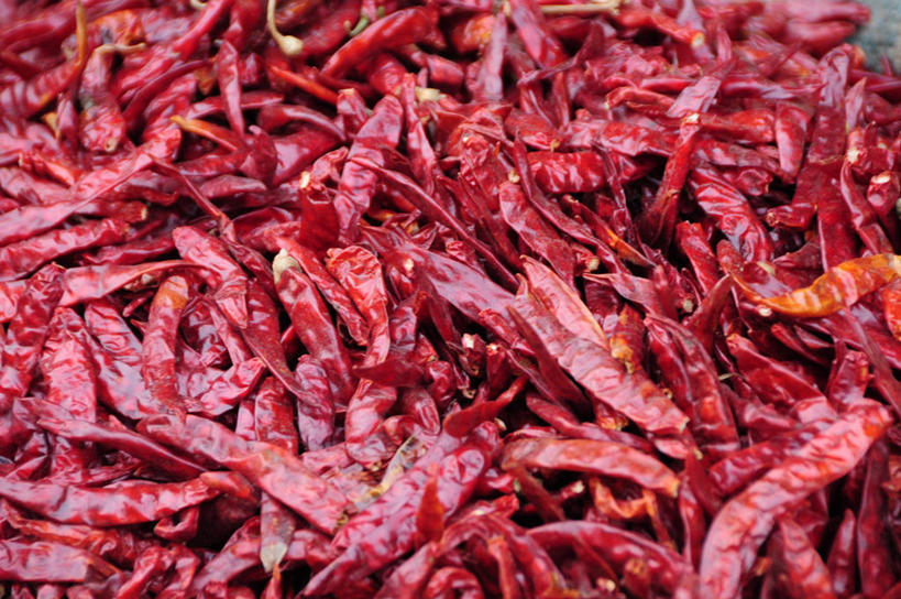 无人,横图,室外,特写,辣椒,印度,许多,丰富,很多,热,红色,摄影,干的,阿格拉,北方邦,红辣椒,彩图