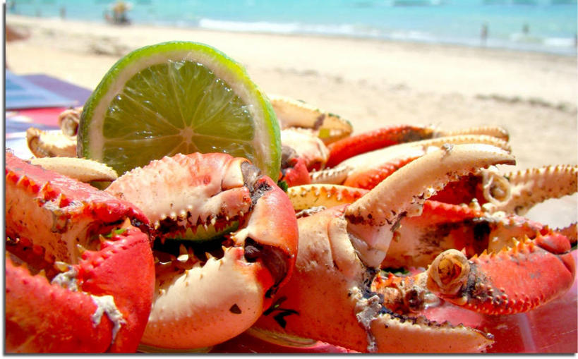 横图,室外,白天,商务,海洋,巴西,沙子,蟹腿,饮食,零售,摄影,清新,健康食物,酸橙,阿拉戈斯,马塞约,海滩,海产,彩图