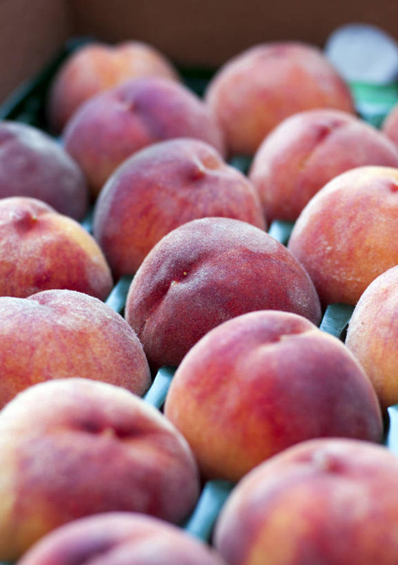 无人,竖图,特写,水果,美国,一排,许多,整齐,很多,饮食,排列,桃,摄影,队列,清新,健康食物,板条箱,彩图