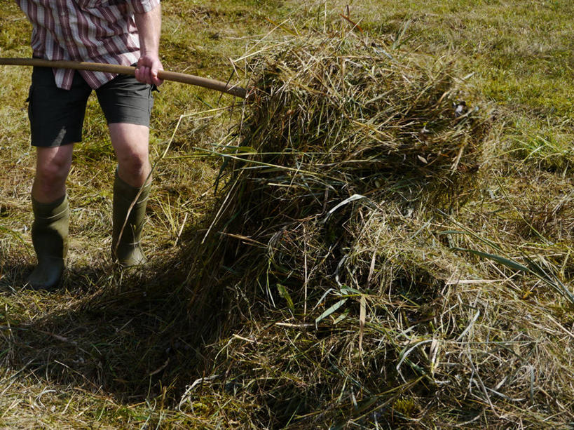 成年人,一个人,站,横图,室外,特写,白天,农业,德国,仅一个男性,阴影,工作,干草,拿着,休闲装,靴子,草,自然,职业,摄影,收获,努力,巴伐利亚,彩图