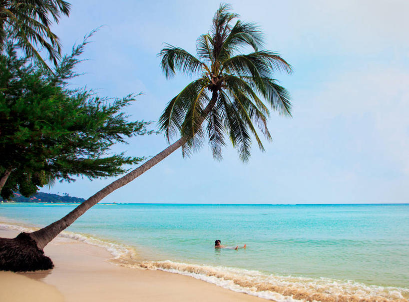 游泳,西方人,成年人,一个人,横图,室外,白天,度假,海洋,欧洲,泰国,欧洲人,仅一个男性,仅一个人,沙子,岛,水平线,云,树,仅一个年轻男性,天空,波浪,放松,摄影,享乐,苏梅岛,男人,男性,年轻男性,白种人,年轻人,海滩,休闲活动,椰子树,彩图,独处