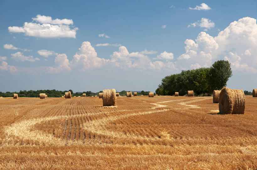 无人,农场,横图,室外,白天,农业,加拿大,许多,圆形,田地,云,干草,很多,天空,自然,草垛,摄影,宁静,干草垛,彩图