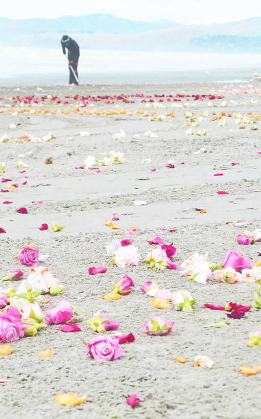 成年人,一个人,竖图,室外,白天,新西兰,仅一个男性,沙子,花,摄影,多样,脆弱,海滩,清洗,彩图