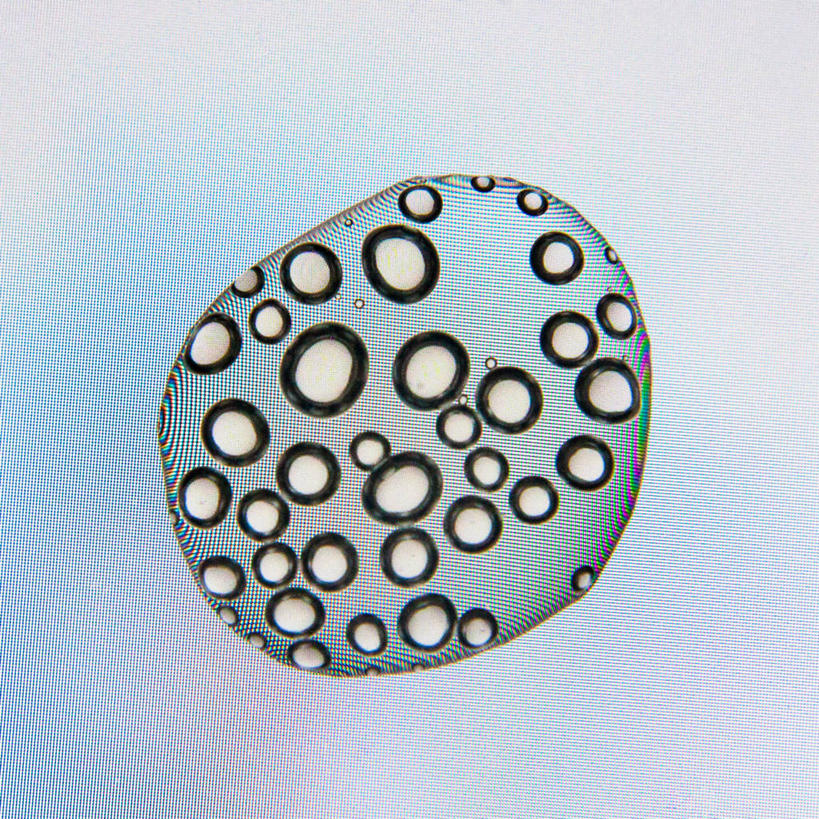 无人,方图,室内,特写,显示器,技术,水,美国,包装,屏幕,显示屏,摄影,加利福尼亚,液晶显示器,输出设备,奥克兰,彩图