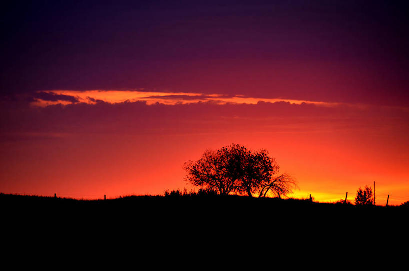 无人,横图,室外,日出,加拿大,云,风景,天空,自然,摄影,宁静,剪影,萨斯喀彻温省,彩图,独处