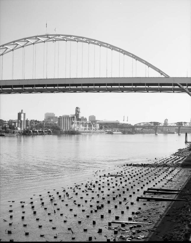 无人,竖图,黑白,室外,白天,度假,美景,天际线,城市风光,城市,建筑,美国,景观,拱门,桥,娱乐,风景,天空,享受,休闲,景色,放松,摄影,俄勒冈州,波特兰,威拉米特河