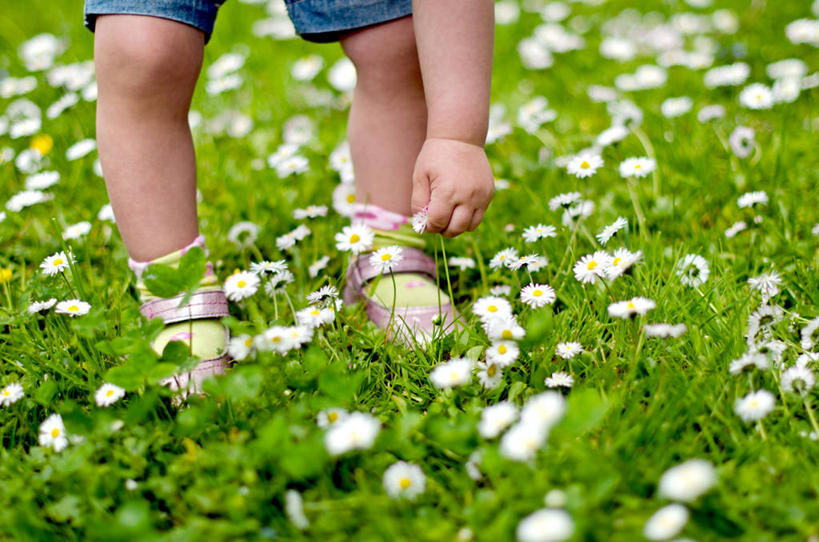 儿童,一个人,横图,室外,特写,白天,纯洁,鞋子,保加利亚,田地,首都,拿着,草,花,白色,自然,可爱,童年,童趣,摄影,童真,烂漫,无邪,索非亚,天真,休闲活动,彩图