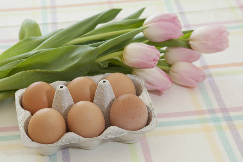 无人,横图,室内,特写,郁金香,静物,美国,饮食,桌布,花,粉色,花束,摄影,脆弱,清新,加利福尼亚,鸡蛋盒,健康食物,旧金山,卵,彩图