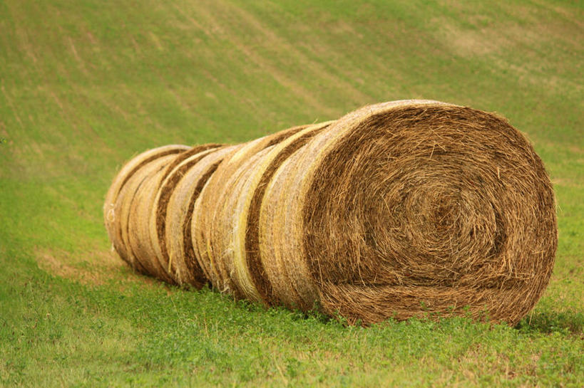 无人,横图,室外,白天,农业,美景,意大利,一排,整齐,景观,田地,干草,草,排列,自然,草垛,景色,摄影,宁静,队列,自然风光,干草垛,彩图