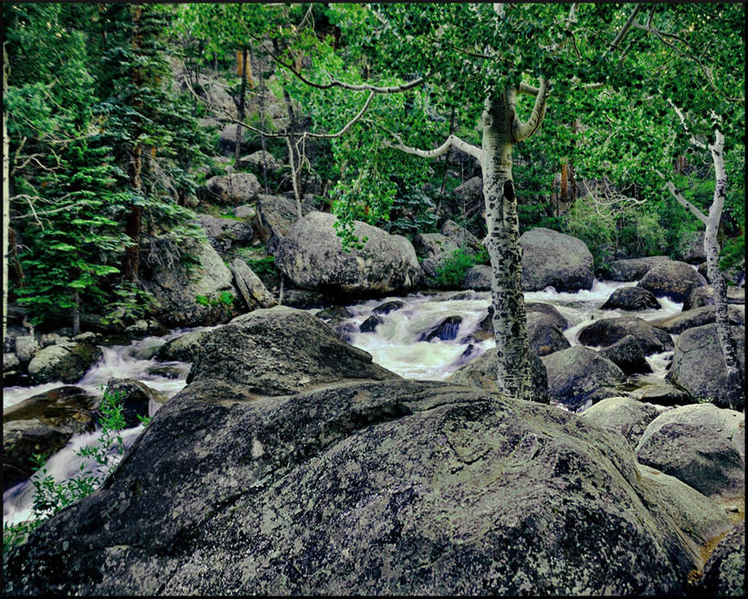 无人,横图,室外,白天,瀑布,美国,树,自然,摄影,宁静,科罗拉多州,岩石,彩图,落基山国家公园