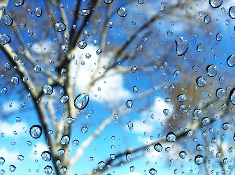 无人,横图,室内,室外,特写,白天,窗户,美国,透明,云,枝,天气,树,蓝色,天空,雨滴,摄影,加利福尼亚,汽车部件,纯净,彩图