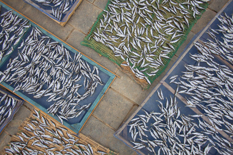 无人,横图,俯视,室外,白天,渔业,大理,许多,丰富,支架,很多,鱼类,饮食,蓝色,绿色,零售,摄影,干的,海产,彩图,高角度拍摄,鱼市