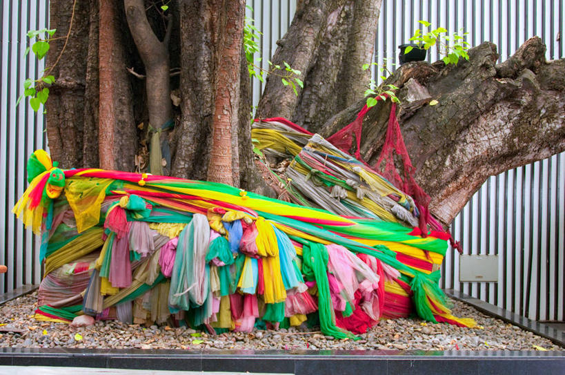 无人,横图,室外,特写,白天,曼谷,泰国,丰富,包装,篱笆,首都,经幡,树干,打结,摄影,宗教,佛教,泰国文化,灵性,彩图