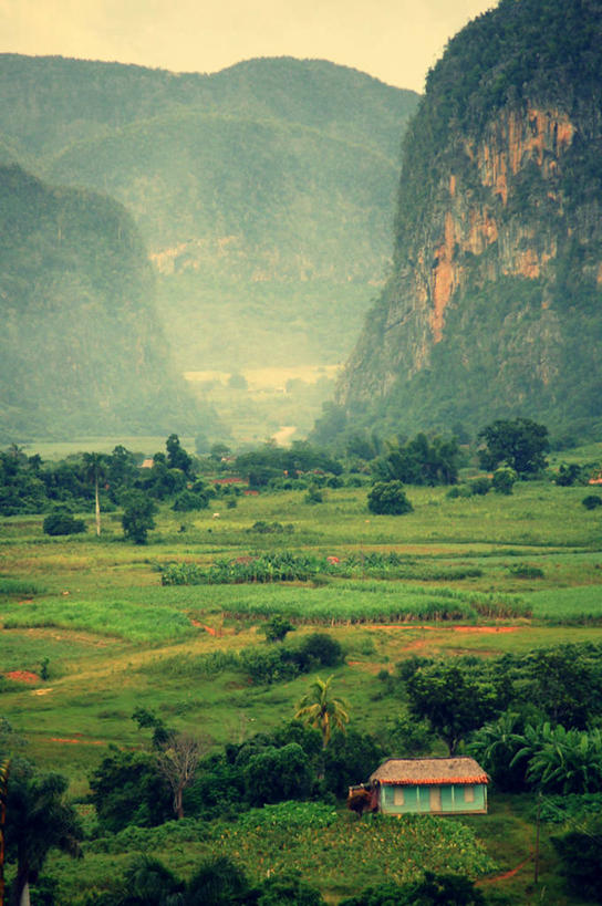 无人,竖图,俯视,室外,白天,旅游,度假,石头,美景,山,山脉,峡谷,古巴,石子,房屋,地形,景观,田地,山谷,娱乐,草,树,风景,天空,自然,享受,休闲,景色,放松,摄影,灌木,宁静,拉丁美洲,岩层,自然风光,比那尔德里奥,石块,岩石,彩图,高角度拍摄