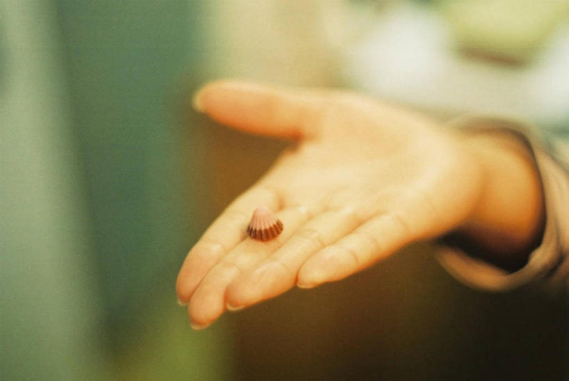 手,一个人,横图,室内,特写,白天,日本,饮食,甜食,巧克力,诱惑,摄影,部分,清新,出示,彩图