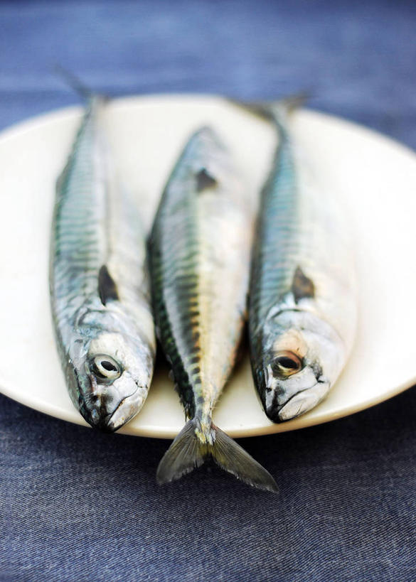 无人,竖图,室内,特写,白天,葡萄牙,生食,鱼类,饮食,桌布,三个,盘子,摄影,清新,海产,彩图