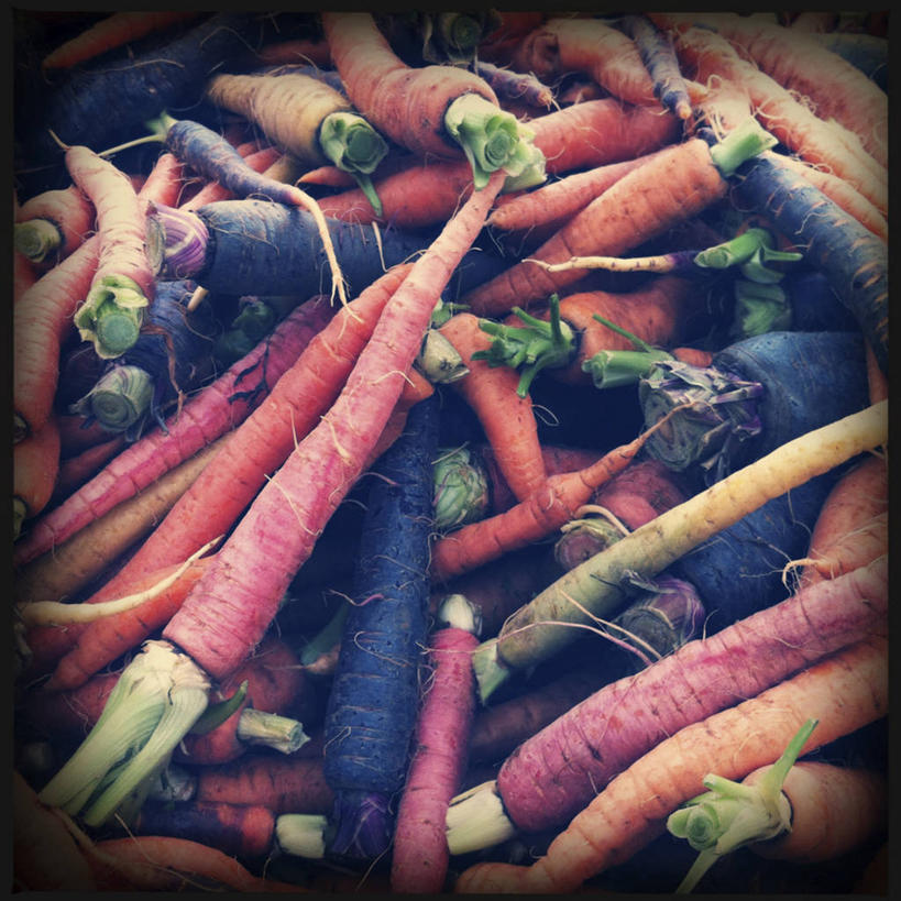 无人,方图,室外,白天,购物,消费,胡萝卜,蔬菜,美国,丰富,集市,市场,饮食,红色,紫色,零售,金融,摄影,有机食品,多样,清新,加利福尼亚,选择,选购,贸易,聚光,健康食物,圣莫尼卡,彩图