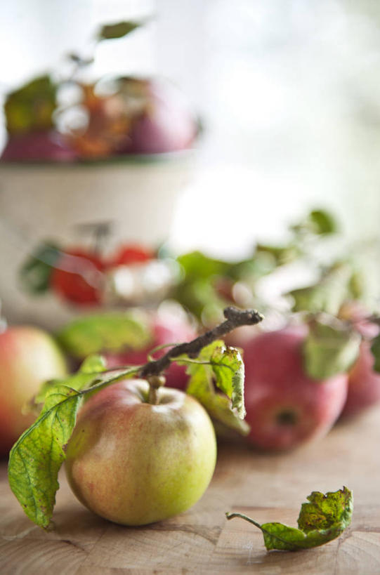 无人,竖图,室内,特写,白天,苹果,水果,叶子,瑞士,食品,茎,摄影,清新,健康食物,沃州,彩图