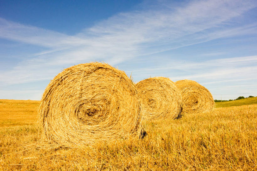 无人,横图,室外,白天,农业,葡萄牙,地形,田地,云,干草,天空,自然,草垛,摄影,生长,干草垛,彩图