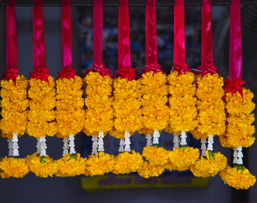 无人,横图,室外,特写,白天,重复,泰国,一排,许多,吊挂,悬挂,整齐,花环,万寿菊,缎带,很多,挂,花,排列,橙色,零售,摄影,脆弱,队列,泰国文化,收集,呵叻,彩图