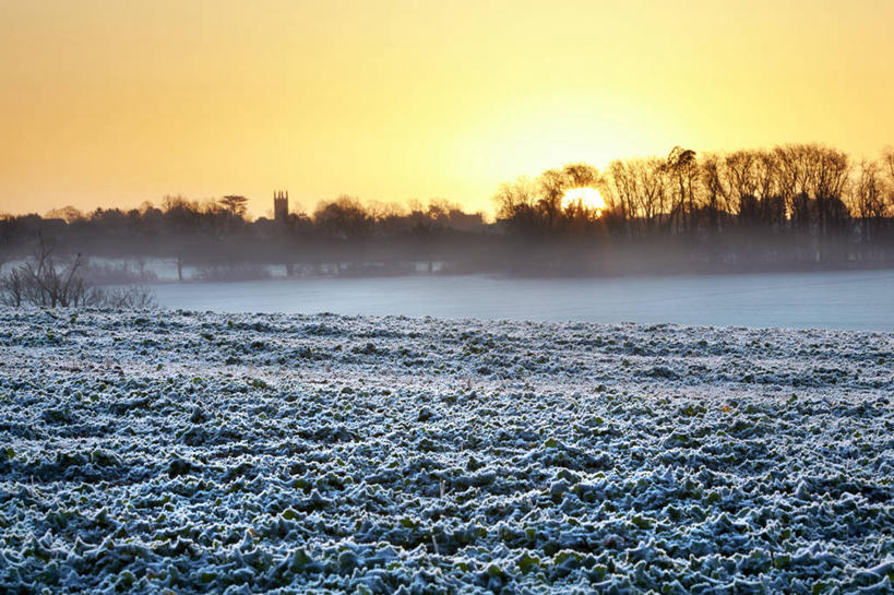 无人,横图,室外,旅游,度假,日出,美景,雾,日光,英国,景观,天气,霜,娱乐,草,树,天空,自然,享受,休闲,景色,放松,寒冷,摄影,宁静,早晨,自然风光,莱切斯特城,彩图