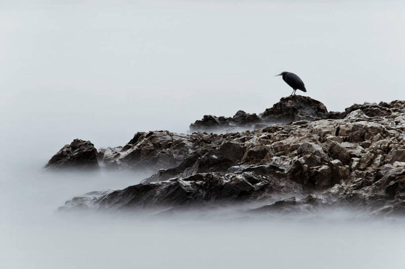 无人,横图,室外,长时间曝光,海洋,水,野生动物,香港,鸟类,自然,黄昏,摄影,岩层,剪影,岩石,彩图