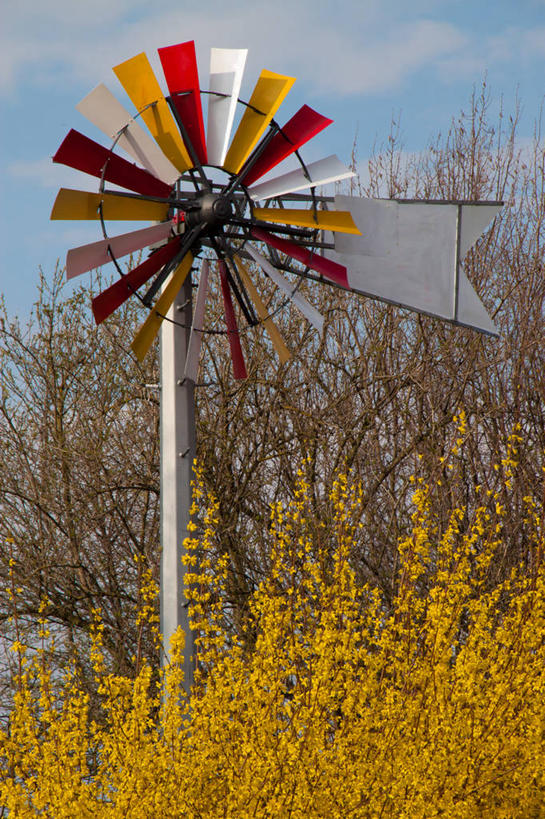 无人,竖图,室外,白天,连翘,德国,风力,云,天空,自然,摄影,能源,灌木,宁静,环境,替代能源,环境保护,巴伐利亚,风轮机,青翘,落翘,连壳,黄奇丹,黄花条,彩图